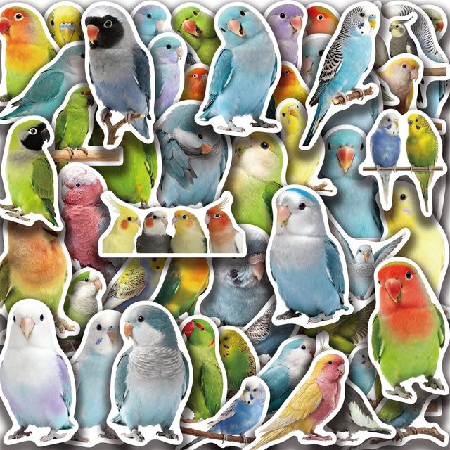 50 Stück selbstklebende Papageien-Aufkleber mit bunten Vogel-Illustrationen für Schreibtisch und Briefpapier - Bild 1