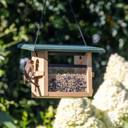 CJ Wildlife Futterhaus Eindhoven für kleine Vögel zum Aufhängen in Grün und Braun