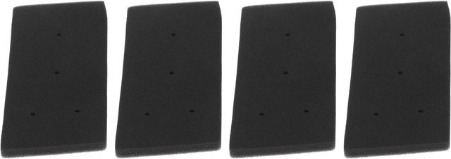Bauknecht Ersatz Trockner Schwammfilter mit 4 Löchern, 4er Set, Schwarz - Bild 1