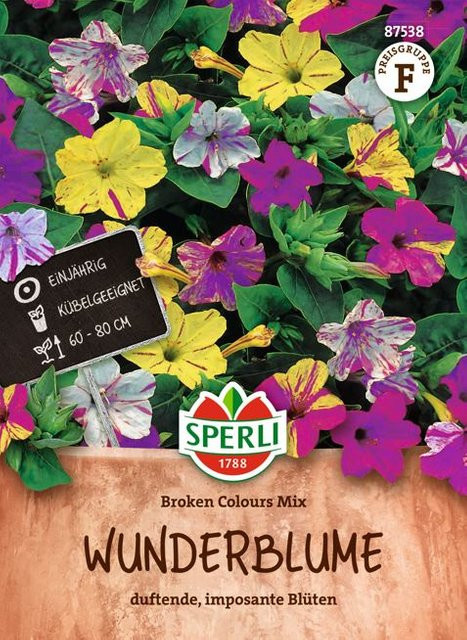SPERLI Wunderblumen-Samen Broken Colours Mix, bunt - Bild 1