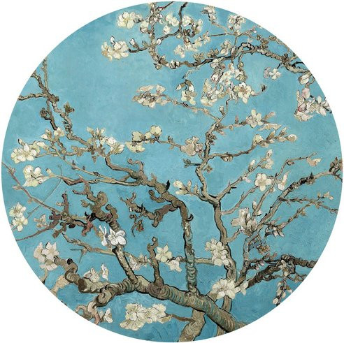 K&L Wall Art Runde Vliestapete Van Gogh Mandelblüte Vintage, mehrfarbig, matt, B: 284 cm, H: 284 cm - Bild 1