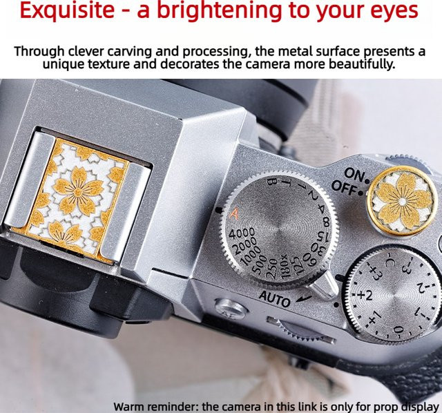 Fujifilm Metall-Blitzschuhabdeckung mit Gewindeanschluss in Grau für Kamera-Zubehör - Bild 1