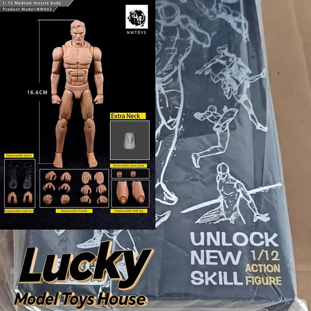 NWTOYS Muskelkörper-Modell Spielzeugzubehör, 1/12 Maßstab, bemalt - Bild 1