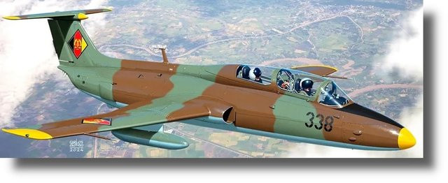 KP-Modell Aero Delfin Warschauer Pakt Plastikmodell, 1/72, Grau - Bild 1