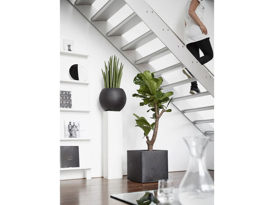 CAPI EUROPE Pflanztopf Smooth quadratisch Schwarz B/T/H: 40 x 40 x 40 cm - Bild 2