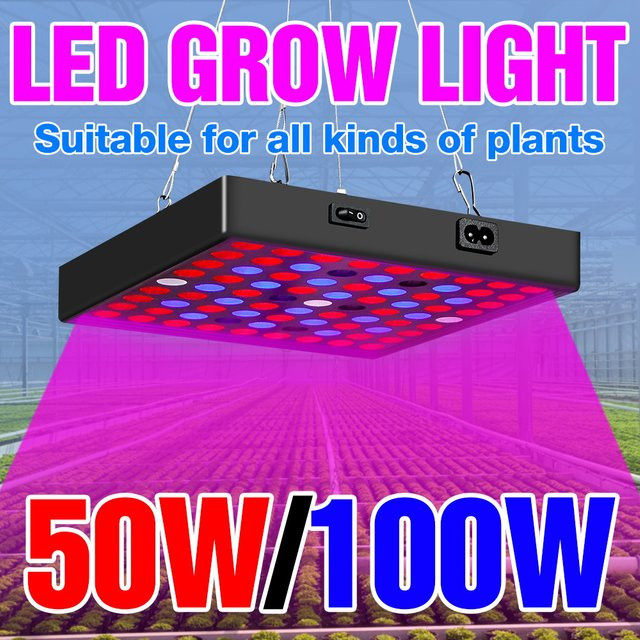 CanLing LED Pflanzenlampe Vollspektrum 100W für Indoor Anbau in Schwarz - Bild 1