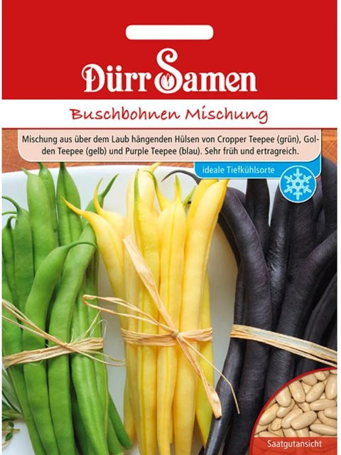 Dürr Buschbohnen Mischung Saatgut - Bild 1
