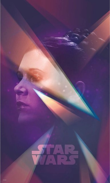 Komar Fototapete Vlies Star Wars Female Leia, Multicolor, Breite: 120 cm, Höhe: 200 cm - Bild 1