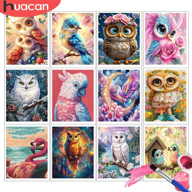 HUACAN Malen nach Zahlen für Erwachsene Eule Tiermalerei als farbenfrohe Wanddekoration in Multicolour - Bild 1