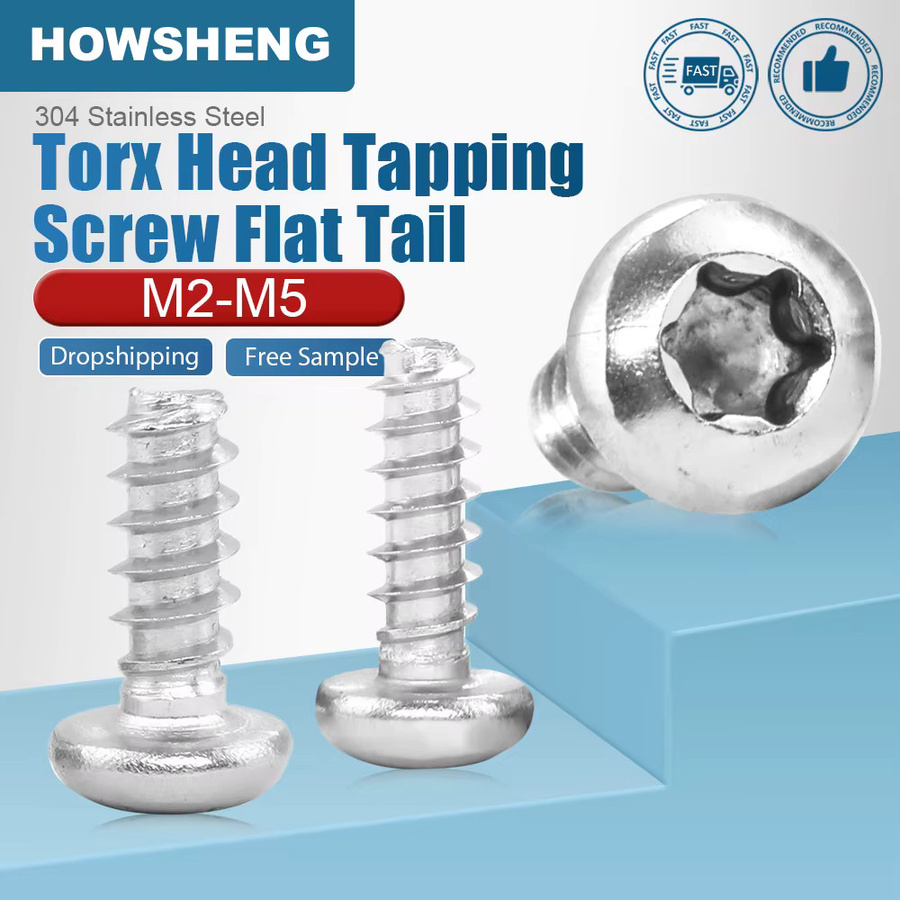 Howsheng Sechskant-Torx-Flachkopfschraube aus Edelstahl mit Flachspitze für Holz, Farbe: Silber - Bild 2