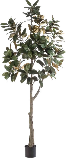 Künstlicher Magnolienbaum Skyler von Aplanta, Höhe: 240 cm - Bild 1
