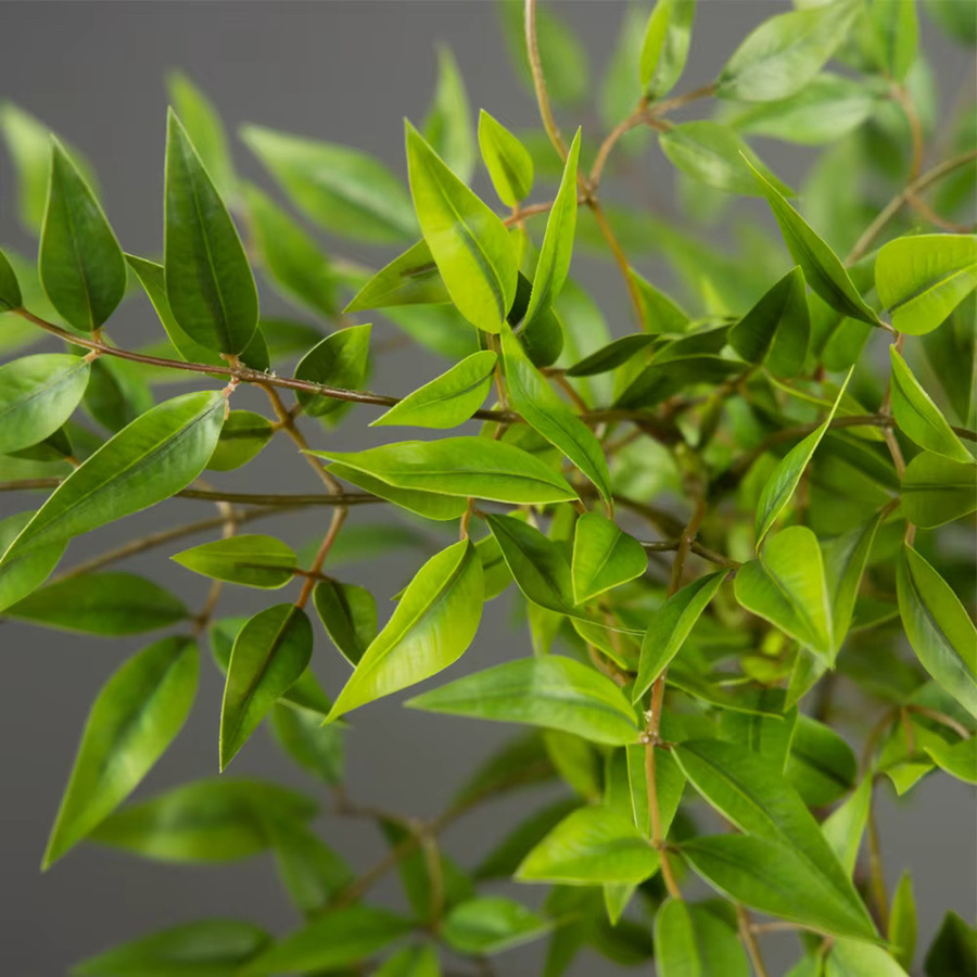 Künstliche Nandina-Pflanze von Kmitang in Grün, dekorative tropische Palmenzweige aus Kunststoff für Zuhause, Garten und Büro, Höhe: 75 bis 140 cm - Bild 3