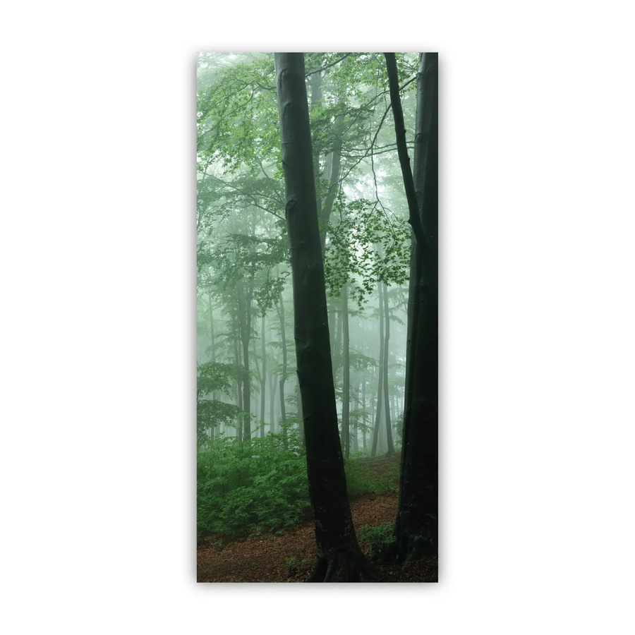 Walllux Duschrückwand Nebel im Wald in Grau und Grün aus Alu-Verbund, B/H: 90 x 200 cm - Bild 1