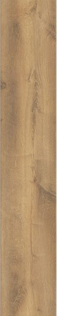 Kaindl Laminat Eiche Creme in Holzoptik, 8,5 mm Stärke, Beige/Weiß - Bild 1