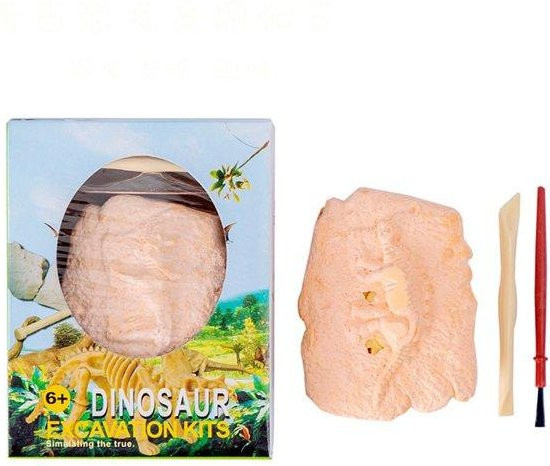 Linyi toy Dinosaurier Fossil Ausgrabung Set STEM - Bild 1