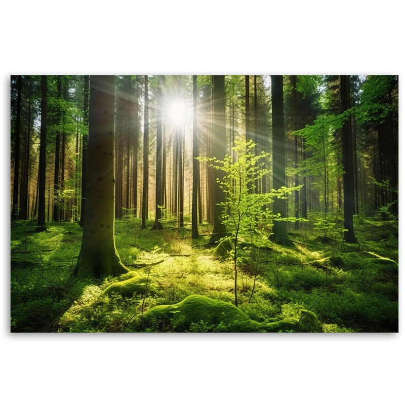 Feeby Leinwanddruck Wald Bäume Natur Landschaft Grün B: 60 cm, H: 40 cm - Bild 2