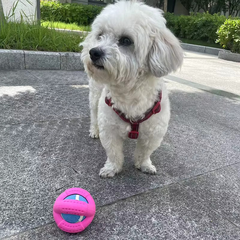 Qzee Hundespielzeug, Tennisball aus Gummischaum, mit vier ausgehöhlten Fächern für Futter - Bild 3