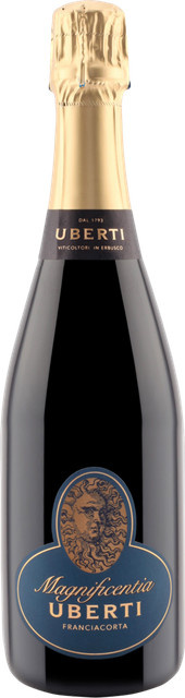 Uberti Franciacorta Saten Magnificentia 2020, Chardonnay, Italien, 0,75 l - Bild 1