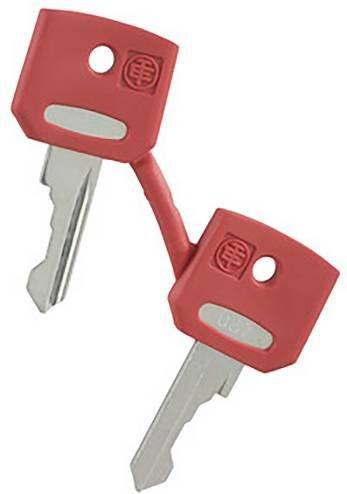 Schneider Electric ZBGF034 Ersatzschlüssel aus Metall in Rot - Bild 1