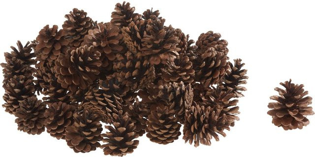 Othmar Decorations Pinienzapfen aus Naturmaterial in Braun für herbstliche und winterliche Dekoration - Bild 1