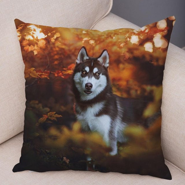 Weicher Plüsch Kissenbezug mit Sibirischem Husky Motiv für dein Sofa, B/B: 45 x 45 cm - Bild 1