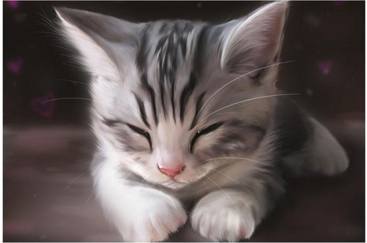 FIYO Diamond Painting Set Schlafende Katze, Mehrfarbig, B x H: 30 x 20 cm - Bild 1