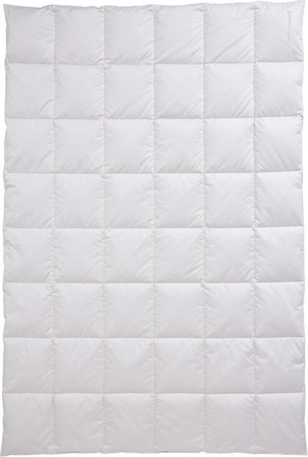Ganzjahresbett Centa-Star Golf von Alaska in Beige und Weiß mit Daunen- und Baumwollfüllung - Bild 1
