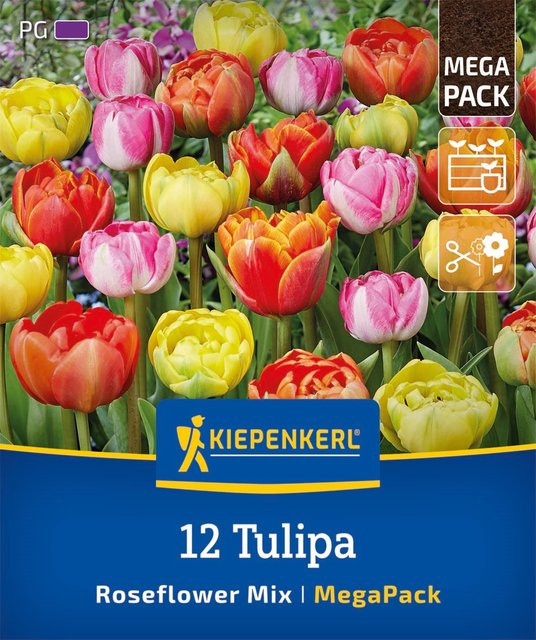 Mein schöner Garten Shop Gefüllte späte Tulpen Rosentulpen-Mischung, 12 Zwiebeln, bunt - Bild 1