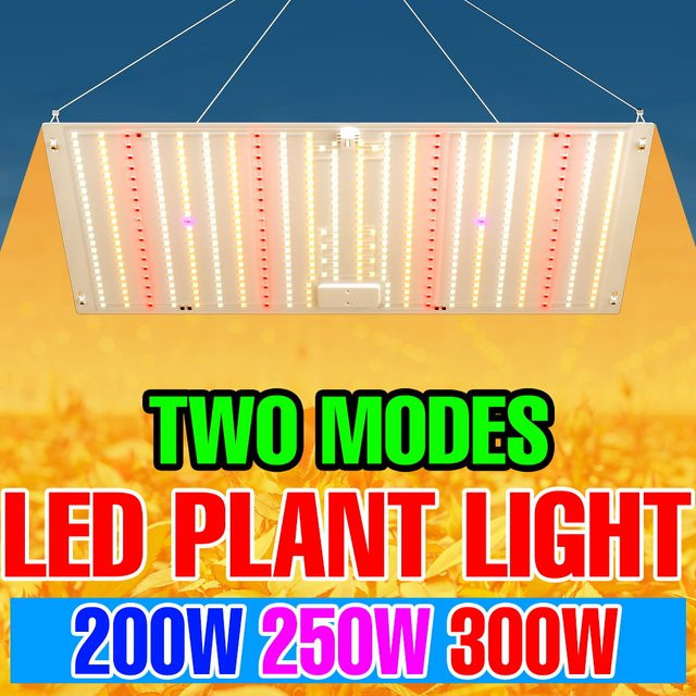CanLing 300W Vollspektrum LED Pflanzenlampe Quantum Board zur Beleuchtung von Gemüse, Blumen und Obst - Bild 1