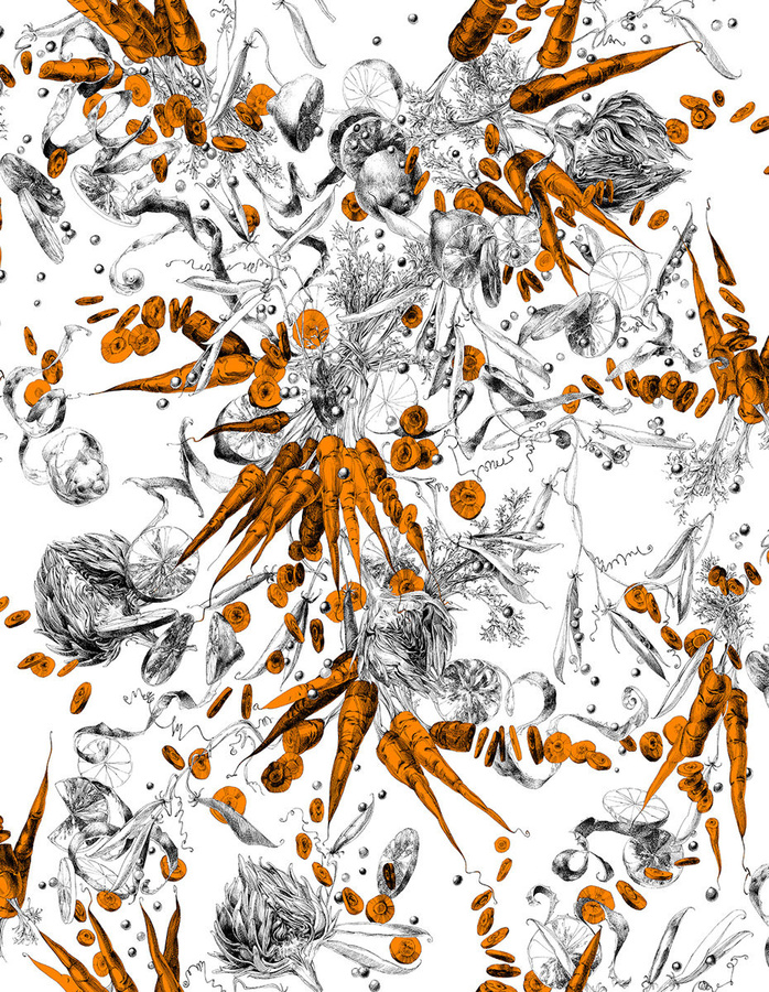 Edmond Petit Tapete Feu d'Artifice Légumes Carotte in Orange und Multicolour mit botanischem Vintage-Design - Bild 1