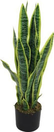 Kunstpflanze Sansevieria von Paperflow in Grün, Höhe: 65 cm - Bild 1