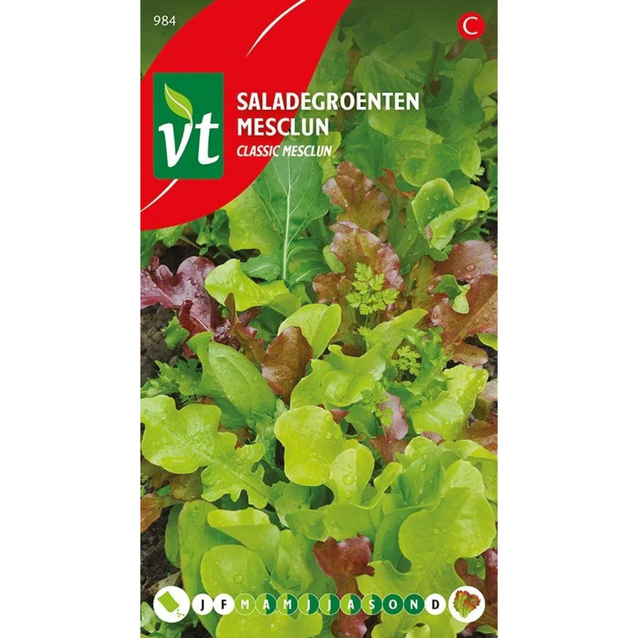 Arborix Salatmischung Mesclun Saatgut mit vielfältigen Aromen, 4 g - Bild 2