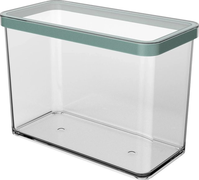 Rotho Dose Loft Premium Rechteckig Transparent Mistletoe Green - Bild 1