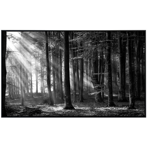 papermoon EcoHeat Infrarotheizung in Wald Schwarz und Weiss mit Matt-Effekt, App-Steuerung und Überhitzungsschutz - Bild 2