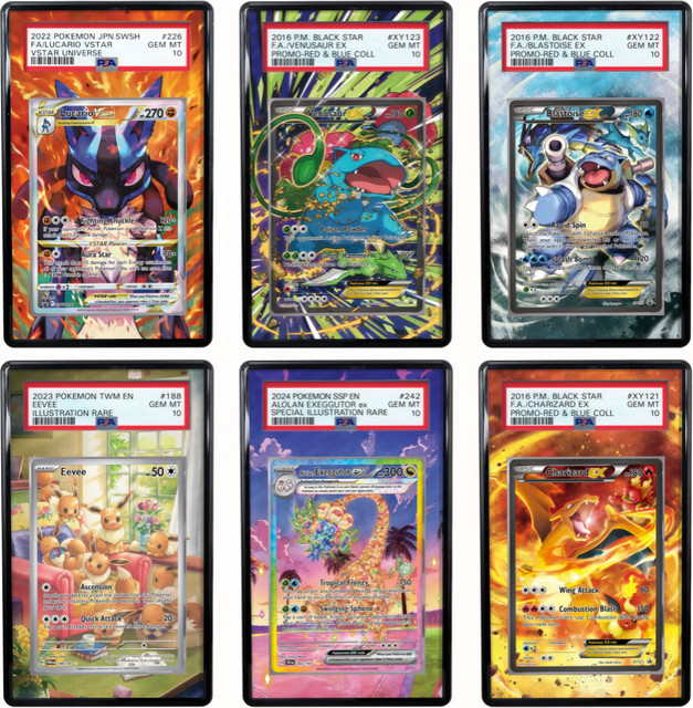 Keeppley Acryl-Schutzhülle für Pokemon Anime-Kunstdisplay mit Lucario, Charizard, Eevee und Venusaur in Transparent - Bild 1