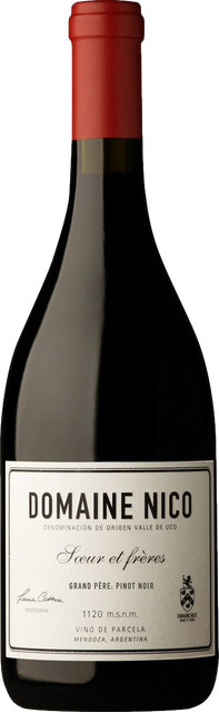 Domaine Nico Pinot Noir Rotwein 2023, Argentinien, 0,75 l - Bild 1