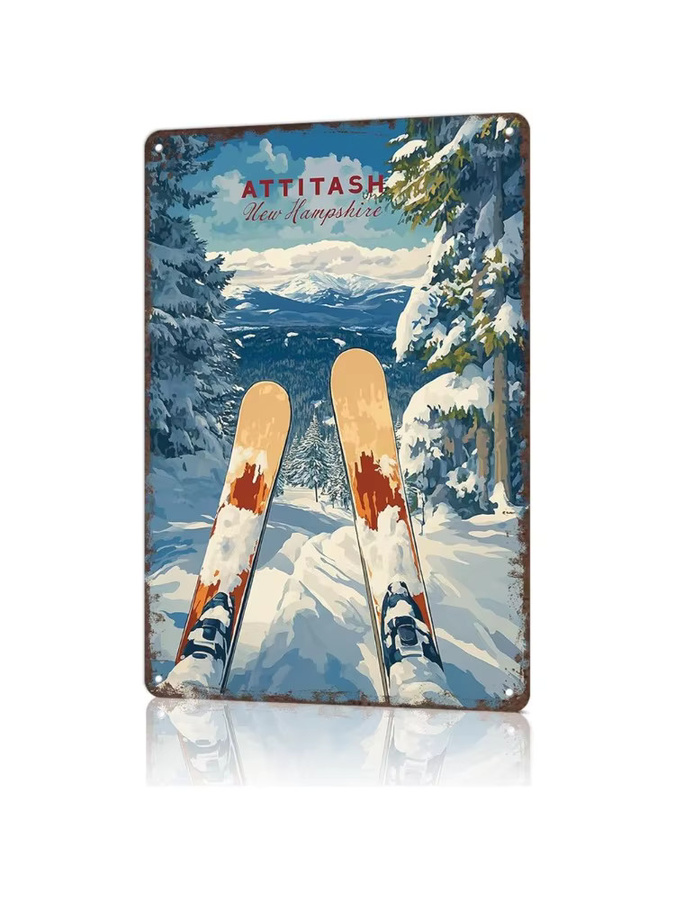 Ski-Wanddekoration aus Metall im Vintage-Stil von CIFBUY, Mehrfarbig, B/H: 20,3 x 30,5 cm - Bild 6