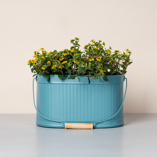Oval Zinkwanne BLUME2000 Blau, B/T/H: 26 x 15 x 15 cm - Bild 1