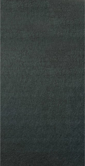 Jangal Wandpaneel Modular Wall Pet in Schwarz, B/H: 52 x 52 cm - Bild 1