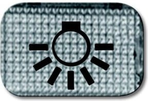 Busch-Jaeger Tastersymbol Licht 2145 LI Schalter transparent - Bild 2