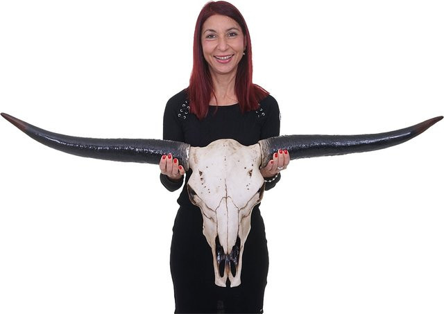 MCW Deko Schädel Stier Longhorn Kopf aus Polyresin in Naturfarben, Höhe: 132 cm - Bild 1