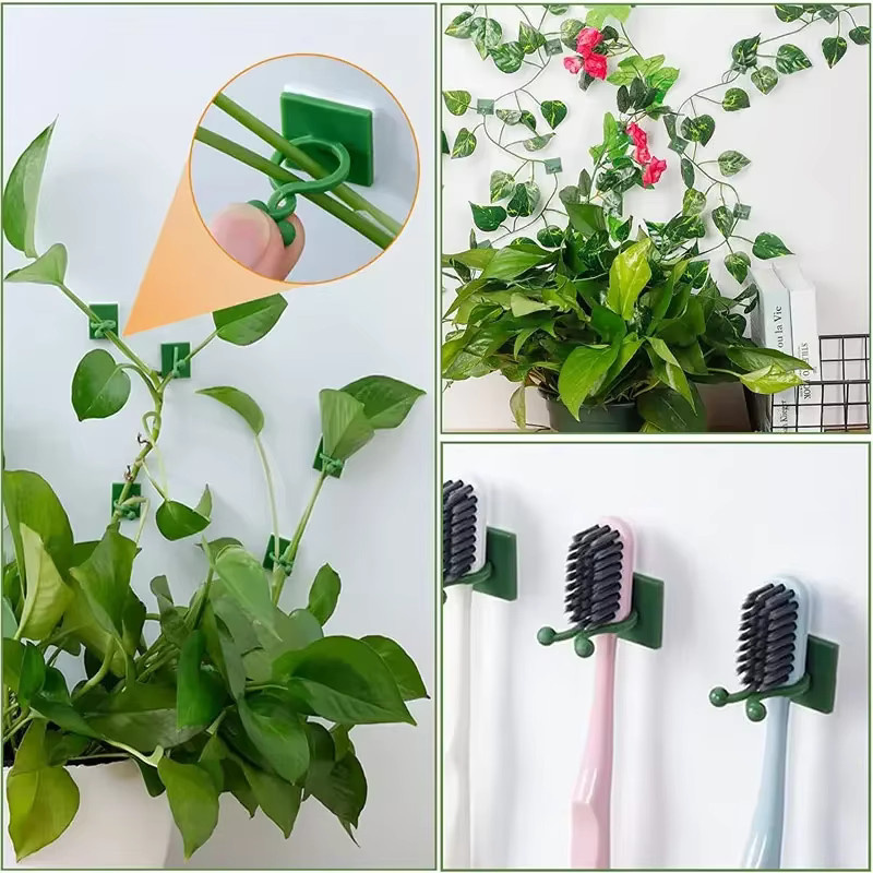 Pflanzen-Clips zur Unterstützung von Kletterpflanzen und Rankgewächsen für die Gartendekoration - Bild 2