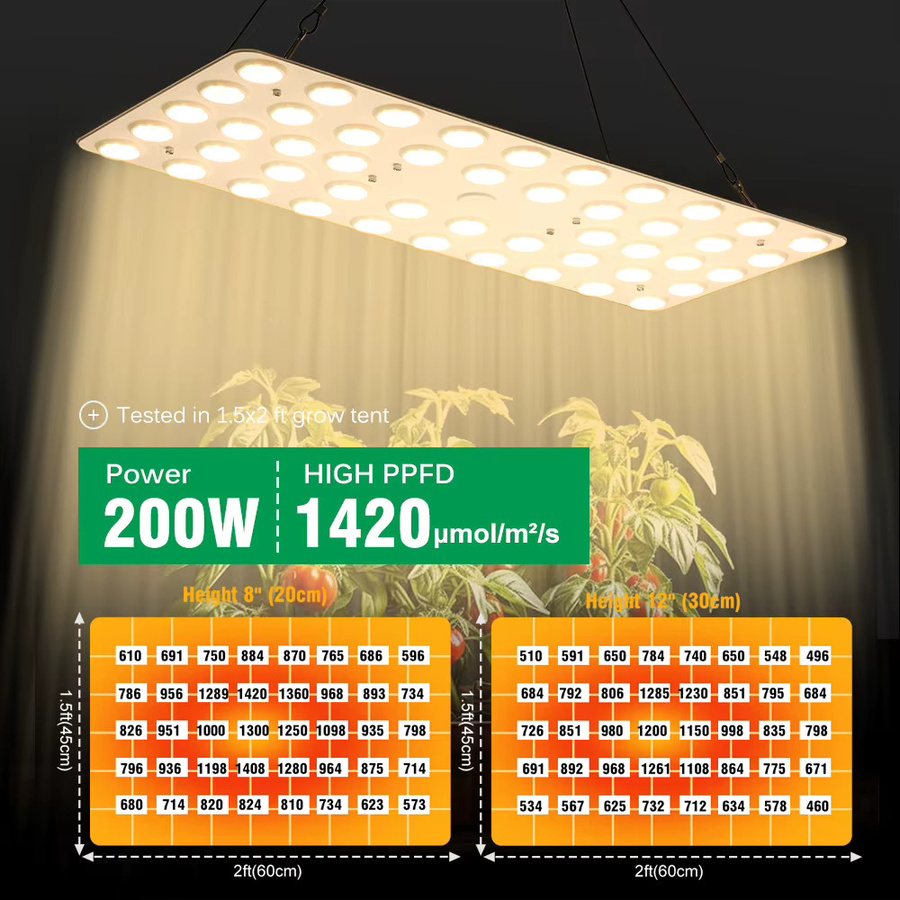 GRAXGROW LED-Wachstumslicht Vollspektrum Dimmbares Panel mit Reflektor für Garten und Bauernhof - Bild 3