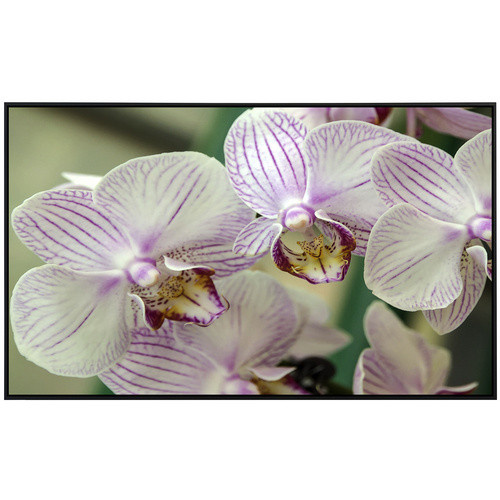 papermoon EcoHeat Infrarotheizung Weisse Orchidee mit Matt-Effekt in Bunt, App-Steuerung und Überhitzungsschutz - Bild 2