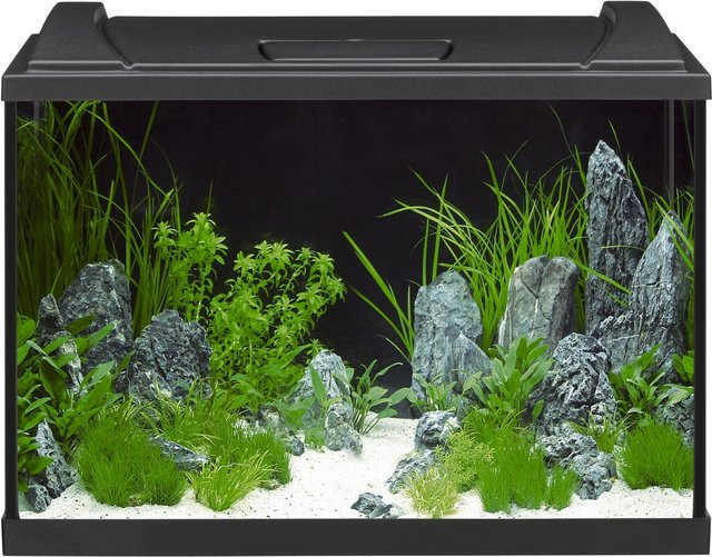 Eheim Aquapro LED 84 Aquarium-Set in Schwarz - Bild 1