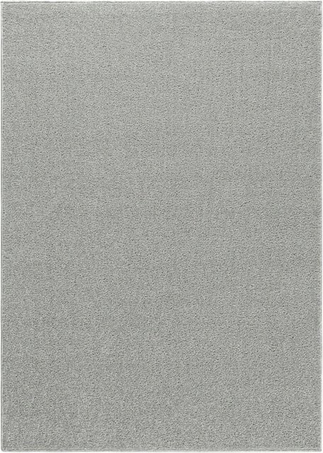 Ayyildiz Kurzflorteppich Ata 7000 in Creme und Beige, modern, rechteckig, B/T: 240 x 340 cm - Bild 1