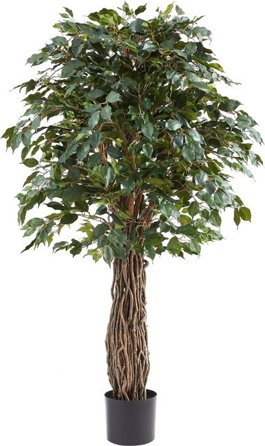 Künstlicher Ficus Baum von Aplanta, Höhe: 180 cm - Bild 1
