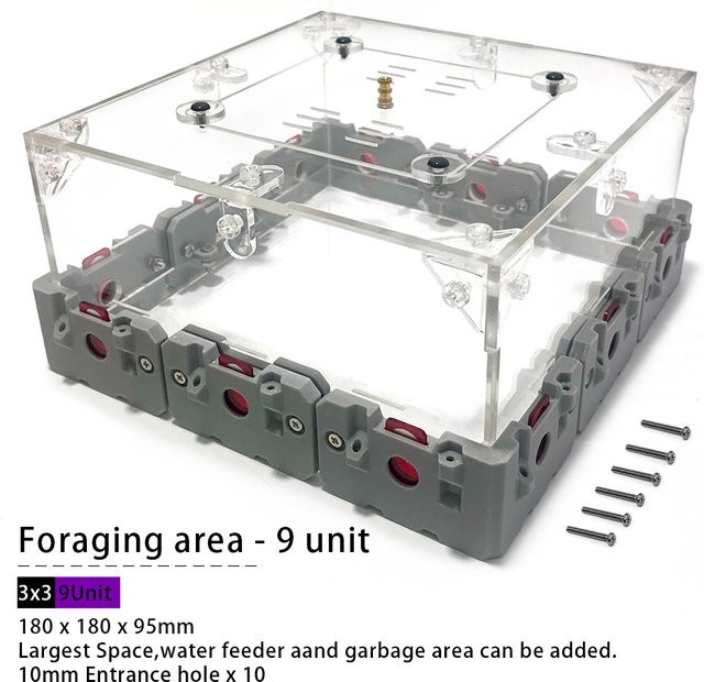 LEGO Große erweiterbare Futtersuche Arena, Formikarien-Mierenfarmnest - Bild 1
