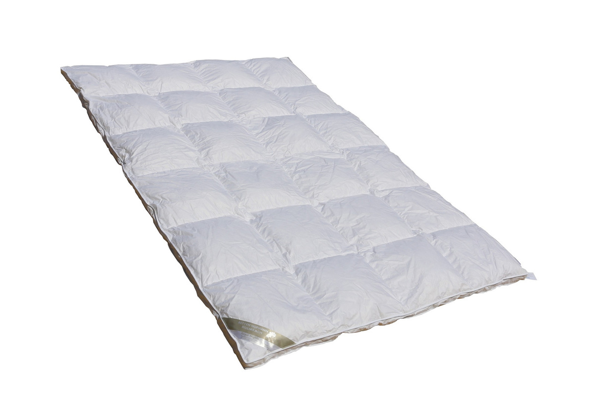 Betten Hofmann White Sibiria Schneegänseflaum Daunendecke mit Außensteg, Farbe: Weiß, B x L: 200 x 220 cm - Bild 1