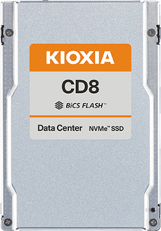 Kioxia X134 CD8-R dSDD 15.3TB PCIe U.2 SSD in Silber - Bild 1